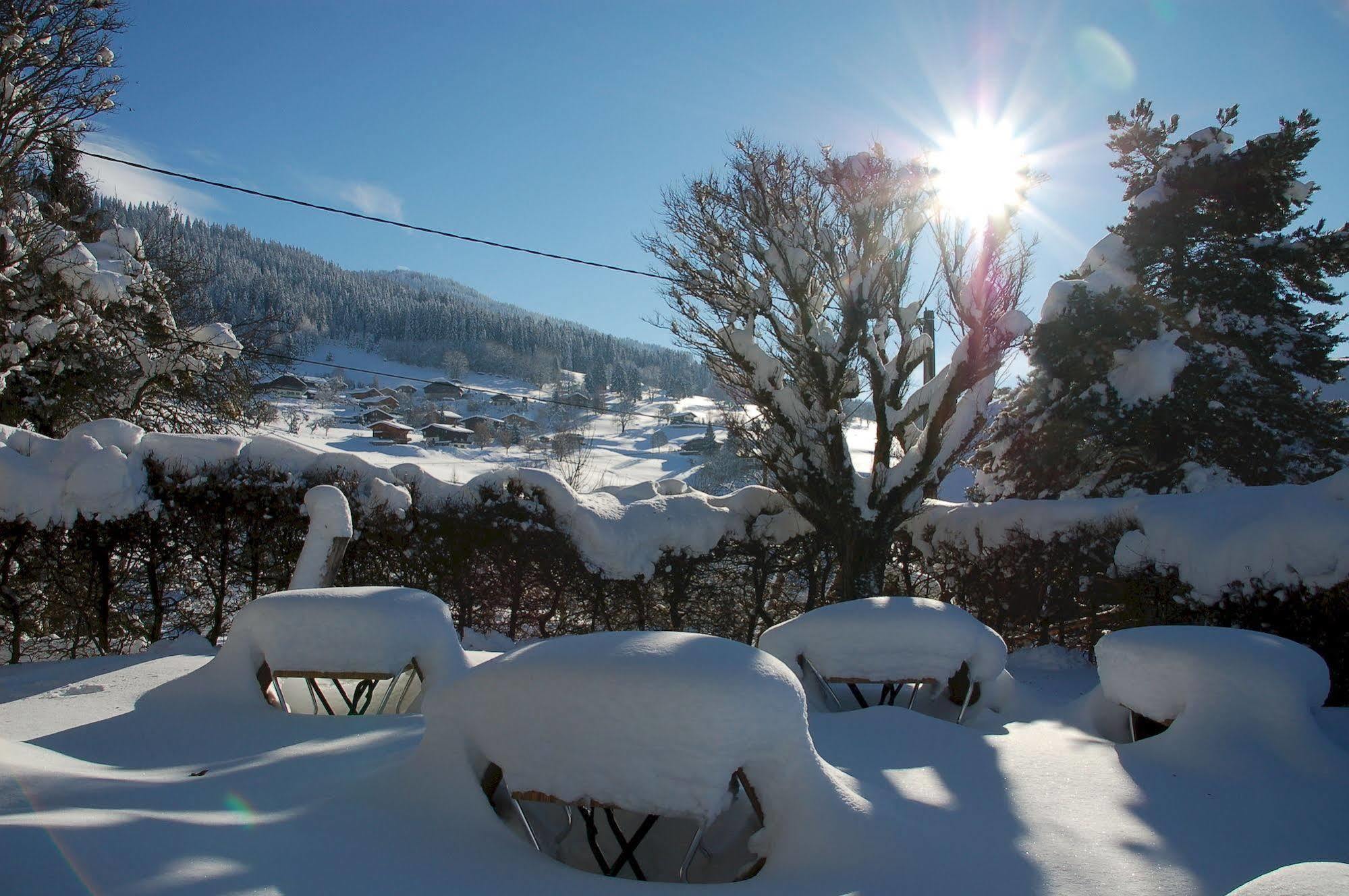 Logis Hotel Le Caprice Des Neiges Combloux Exterior photo